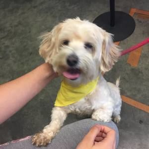 Meet your Posher, Rosemary